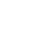 Soi Dog